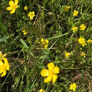 Meet your Posher, Kyley